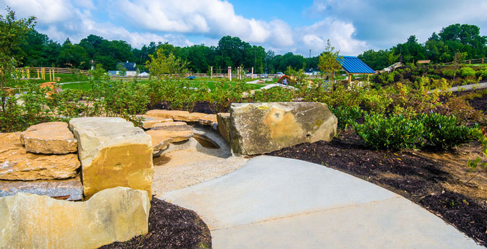 Park landscape