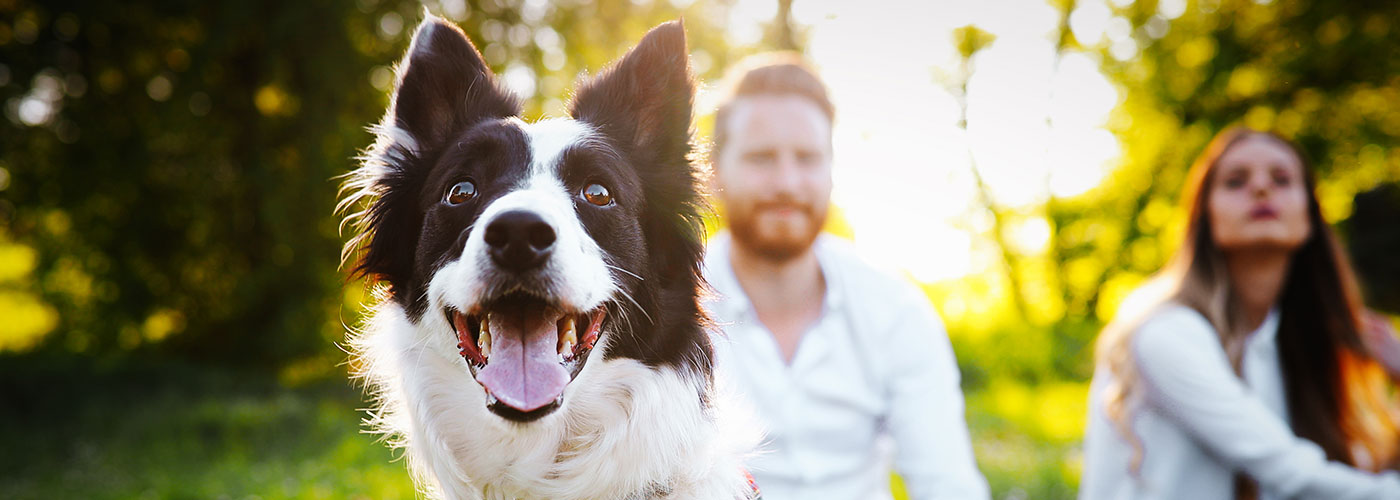 Dog with two young adults